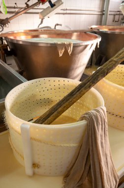 Parma, Reggio-Emilia, İtalya 'daki küçük peynir tarlasında parmegiano-reggiano parmesan peyniri yapmak için geleneksel bir yöntem.