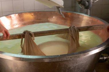 Parma, Reggio-Emilia, İtalya 'daki küçük peynir çiftliğinde parmesanlı parmesan peynirin inek sütü tekerleklerinden yapılan geleneksel işlem.