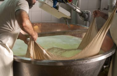 Parma, Reggio-Emilia, İtalya 'daki küçük peynir çiftliğinde parmesanlı parmesan peynirin inek sütü tekerleklerinden yapılan geleneksel işlem.