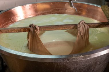 Parma, Reggio-Emilia, İtalya 'daki küçük peynir çiftliğinde parmesanlı parmesan peynirin inek sütü tekerleklerinden yapılan geleneksel işlem.