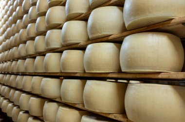 Parma, İtalya 'daki küçük peynir çiftliğinde parmegiano-reggiano parmesan peyniri pişirme süreci, peynir tekerlerinin yaşlandırılması için 5 yıla kadar fabrika olgunlaşma odası