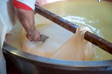 Traditional process of making from cow milk wheels of parmigiano-reggiano hard parmesan cheese on small cheese farm in Parma, Reggio-Emilia, Italy clipart
