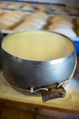 Parma, İtalya 'daki küçük peynir çiftliğinde parmegiano-reggiano parmesan peyniri pişirme işlemi tuzlu su banyosu ile tuzlu su emmek için tuzlu su banyosu ve peynir tekerlekleri ile paslanmaz çelik tokalar.