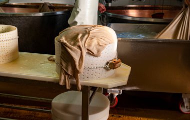 Parma, Reggio-Emilia, İtalya 'daki küçük peynir çiftliğinde parmesanlı parmesan peynirin inek sütü tekerleklerinden yapılan geleneksel işlem.