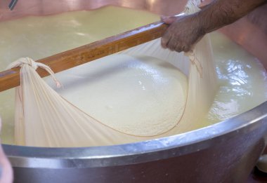 Parma, Reggio-Emilia, İtalya 'daki küçük peynir çiftliğinde parmesanlı parmesan peynirin inek sütünden yapılmış geleneksel bir işlem.