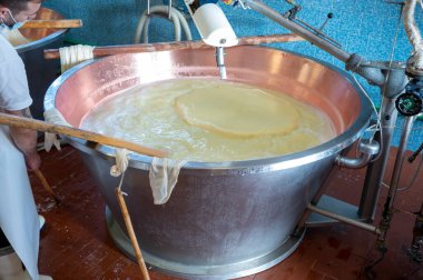 Parma, Reggio-Emilia, İtalya 'daki küçük bir peynir çiftliğinde parmesanlı parmesan peynirinin inek sütlü tekerleklerinden yapılan geleneksel bir işlem.