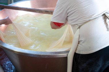 Parma, Reggio-Emilia, İtalya 'daki küçük bir peynir çiftliğinde parmesanlı parmesan peynirinin inek sütlü tekerleklerinden yapılan geleneksel bir işlem.
