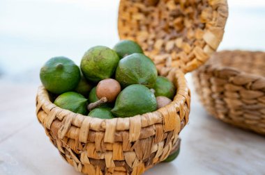 Yeni Avustralya hasadı taze olgun yeşil kabuklu macadamia fındıkları.