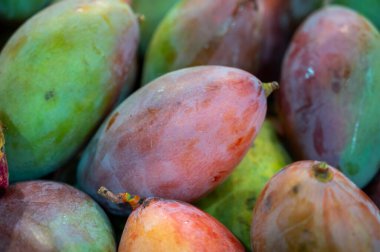 Taze sulu renkli mango marketteki kutuda tropikal meyveler