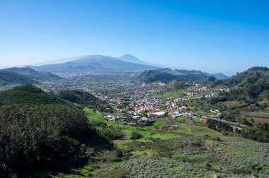 Anaga Ulusal Parkı 'nın yeşil dağlarının panoramik manzarası, Tenerife' nin kuzeyi, Kanarya Adaları, İspanya