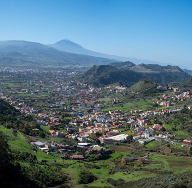 Anaga Ulusal Parkı 'nın yeşil dağlarının panoramik manzarası, Tenerife' nin kuzeyi, Kanarya Adaları, İspanya