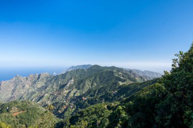 Anaga Ulusal Parkı 'nın yeşil dağlarının panoramik manzarası, Tenerife' nin kuzeyi, Kanarya Adaları, İspanya