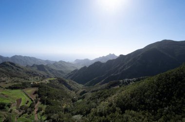 Anaga Ulusal Parkı 'nın yeşil dağlarının panoramik manzarası, Tenerife' nin kuzeyi, Kanarya Adaları, İspanya