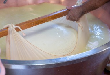 Parma, Reggio-Emilia, İtalya 'daki küçük peynir çiftliğinde parmesanlı parmesan peynirin inek sütünden yapılmış geleneksel bir işlem.