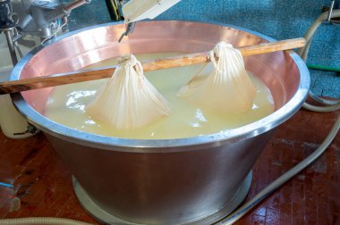 Parma, Reggio-Emilia, İtalya 'daki küçük bir peynir çiftliğinde parmesanlı parmesan peynirinin inek sütlü tekerleklerinden yapılan geleneksel bir işlem.