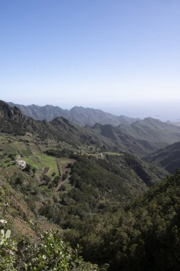 Anaga Ulusal Parkı 'nın yeşil dağlarının panoramik manzarası, Tenerife' nin kuzeyi, Kanarya Adaları, İspanya