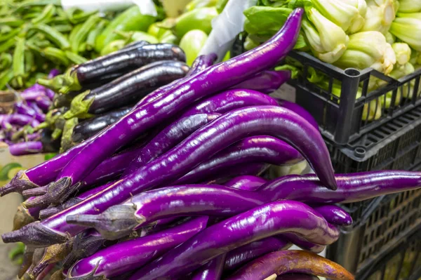 イタリア市場での販売のためのシチリア長い紫色のナス有機野菜 — ストック写真