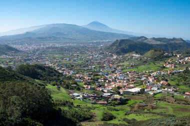 Anaga Ulusal Parkı 'nın yeşil dağlarının panoramik manzarası, Tenerife' nin kuzeyi, Kanarya Adaları, İspanya