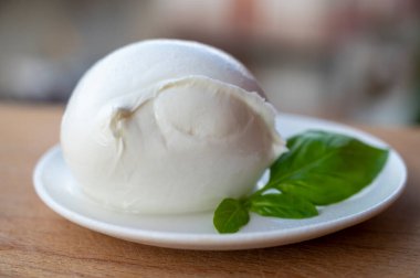 İtalyan yumuşak peynirli beyaz top Mozzarella di Bufala Campana ve taze yeşil fesleğen arka planda İtalyan evleriyle servis edilir.