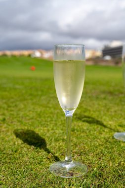 Şampiyonluğu kutlamak için şampanya kadehleri ile Tenerife, Kanarya Adaları 'ndaki golf kulübünün yeşil çimlerinde şarap