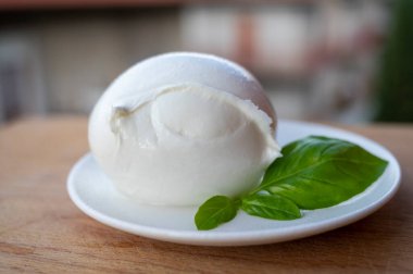 İtalyan yumuşak peynirli beyaz top Mozzarella di Bufala Campana ve taze yeşil fesleğen arka planda İtalyan evleriyle servis edilir.