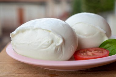 Beyaz İtalyan yumuşak peyniri Mozzarella di Bufala Campana topu taze yeşil fesleğen ve kırmızı domates ile servis edilir.