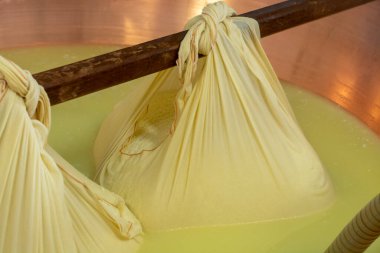 Parma, Reggio-Emilia, İtalya 'daki küçük bir peynir çiftliğinde parmesanlı parmesan peynirinin inek sütlü tekerleklerinden yapılan geleneksel bir işlem.
