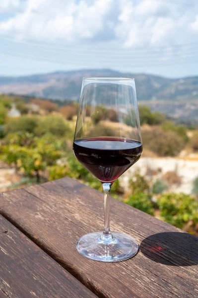 キプロス島のワイン産業 晴れた日にトロドス山脈のブドウ畑や南斜面を眺めながらワイナリーで赤いドライワインの試飲 — ストック写真