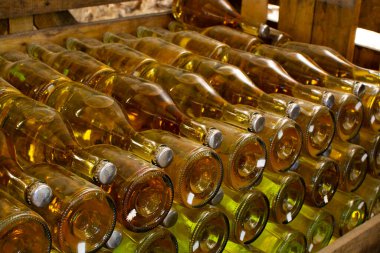 Avusturya, Viyana 'daki yeraltı mahzenlerinde geleneksel yöntemle köpüren beyaz ve gül şarabı üretimi