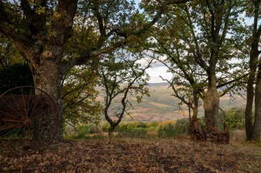 Bagno Vignoni, Tuscany, İtalya yakınlarındaki tepelerde sabah yürüyüşü. Selvi ağaçları, üzüm bağları, ormanlar ve bulutlu sonbaharda sürülen tarlalarla Toskana manzarası.