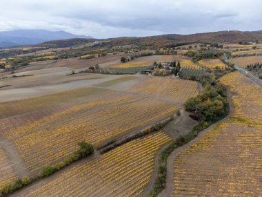 Şarap yakınlarındaki Sangiovese üzüm bağlarının üzerinde uçan drone 'lar Montalcino, Toskana kasabasını hasattan sonra sıra sıra üzüm bitkileri, İtalya