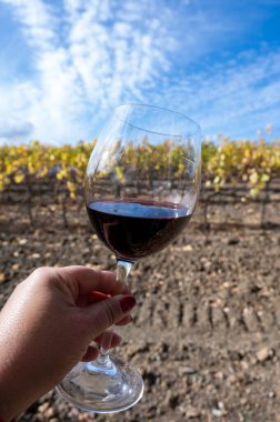 Montepulciano, Toskana, İtalya 'da sonbaharda arka planda tipik tepe üzüm bağları ve selvi ağacı olan kırmızı sangiovese şarabı tatmak