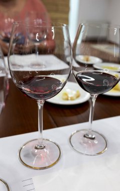 Kırmızı Brunello di Montalcino şarabı ve Montalcino Toskana, İtalya yakınlarındaki kantinde zeytinyağı tatma turu.