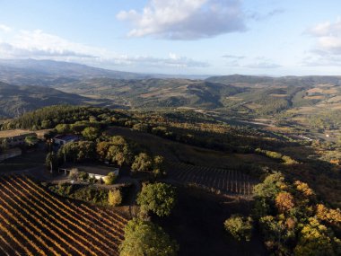 Tepelerdeki hava manzarası, şarap yakınındaki üzüm bağlarındaki renkli sonbahar kasabayı Montalcino, Toskana, hasat sonrası sıralı üzüm bitkileri, İtalya