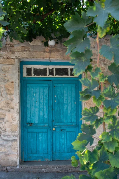 Vecchia Porta Legno Blu Nel Piccolo Villaggio Cipriota Pianta Uva — Foto Stock