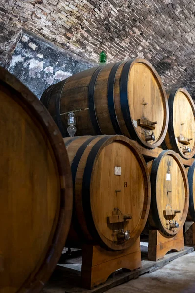 Caves Vin Souterraines Médiévales Avec Vieux Tonneaux Vin Rouge Pour — Photo