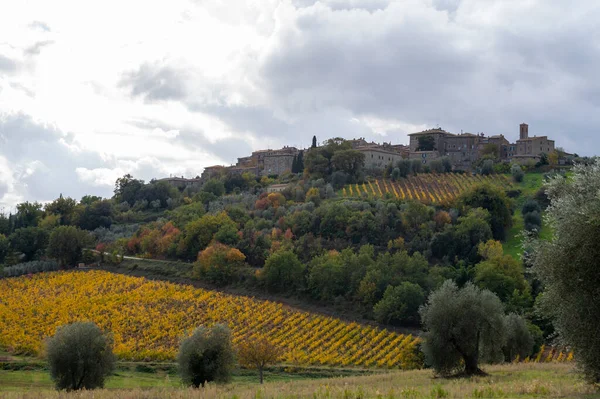 在意大利托斯卡纳蒙特里诺Castelnuovo Dell Abate附近的山上散步 多云的秋天 有柏树 葡萄园 森林和橄榄树的托斯卡纳景观 — 图库照片