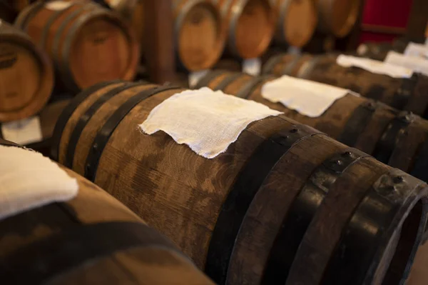 Tradycyjna Produkcja Dojrzewanie Drewnianych Beczkach Czarnego Włoskiego Wina Balsamicznego Igp — Zdjęcie stockowe