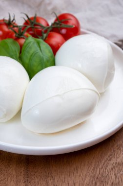 Taze İtalyan peyniri mozzarella di buffalo şok tabancası.