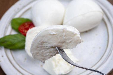 Taze İtalyan peyniri mozzarella di buffalo şok tabancası.