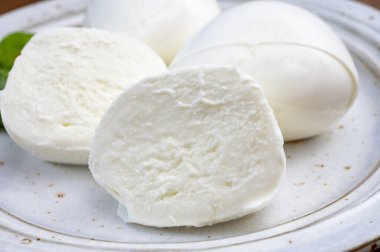 Taze İtalyan peyniri mozzarella di buffalo şok tabancası.