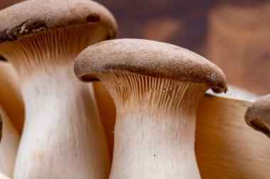 Lezzetli vejetaryen yemekleri, taze organik Pleurotus eryngii kral trompet mantarları