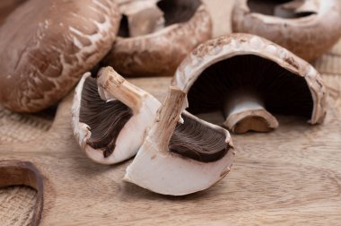 Lezzetli vejetaryen yemekleri, büyük kahverengi şampiyonlar Agaricus bisporus portobello mantarları.