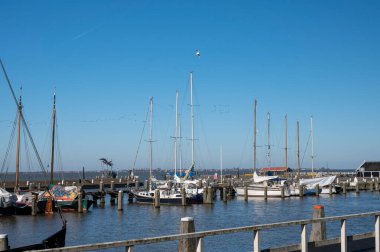 Hollanda 'nın küçük Marken kasabasında güneşli bir bahar gününde eski Hollanda, Hollanda' da bulunan ahşap evlerle yürüyorum.