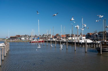 Hollanda 'nın küçük Marken kasabasında güneşli bir bahar gününde eski Hollanda, Hollanda' da bulunan ahşap evlerle yürüyorum.