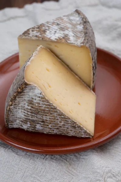 Queijo Montanha Francês Alpes Tomme Savoie Close — Fotografia de Stock