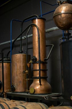 Tatlı cassis creme likörü üretimi ve olgun kara frenk üzümü meyveleri, damıtma ve ahşap fıçılarda olgunlaşma, Burgundy, Fransa