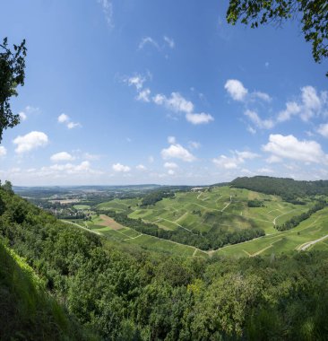 Epernay, Champange, Fransa yakınlarındaki şampanya bağlarında hava panoramik manzarası