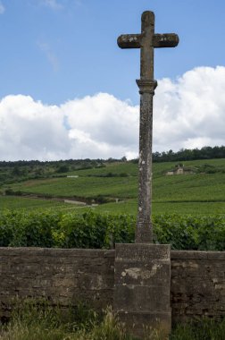 Burgundy şarap bölgesinde Nuits-Saint-Georges yakınlarında taş duvarları olan ünlü Clos pinnot noir üzüm bağları, Fransa