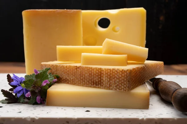 Swiss cheese collection, holes emmentaler and gruyere cheese made from unpasteurized cow's milk close up